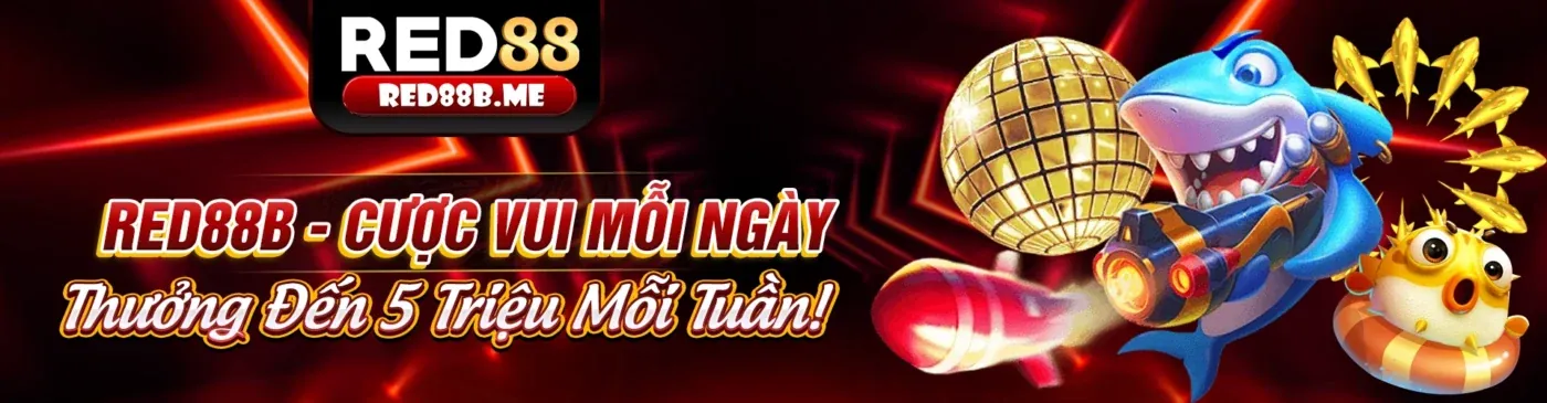 Hình ảnh chính Blog mmoo9 với chủ đề cá cược thể thao và casino